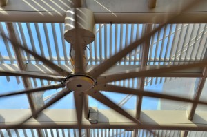 electrician to install fan at home